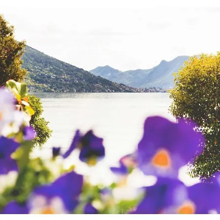 Appartamenti Vistaqua Baveno Esterno foto